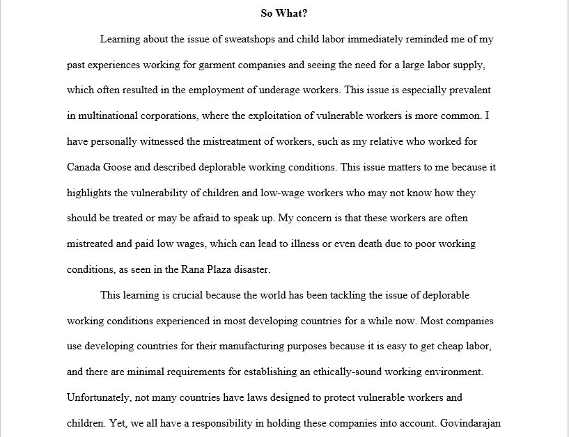 Image showing the "So WHAT"? section of the reflection paper. 